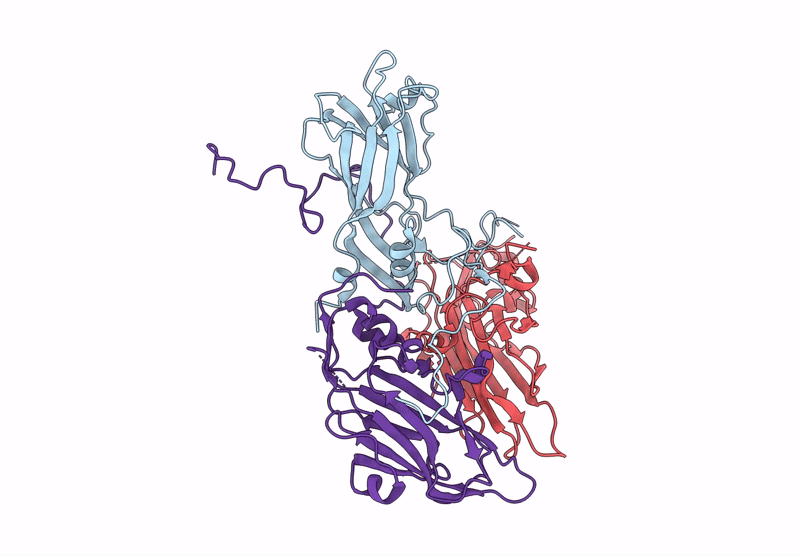 9VFP image