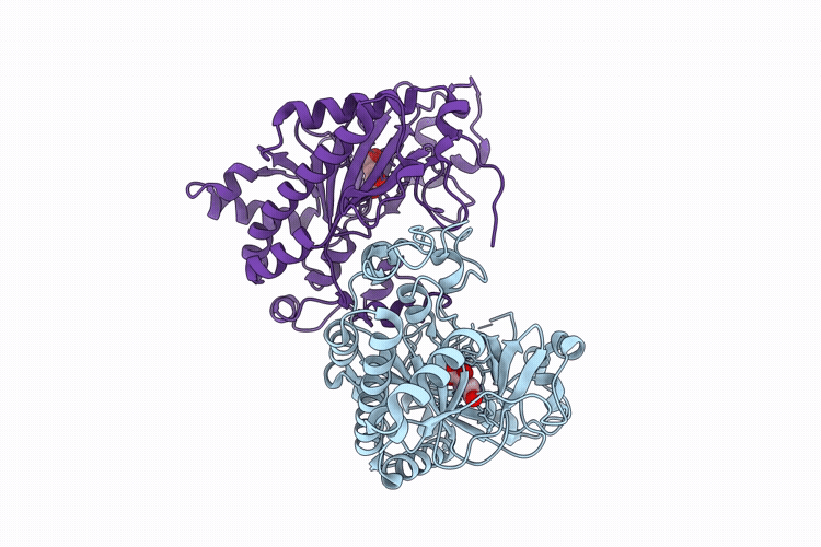 9VGI image