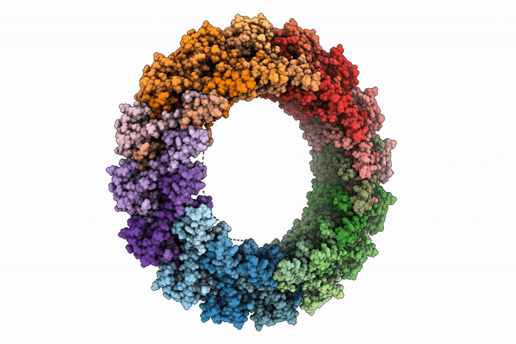 9VGU image