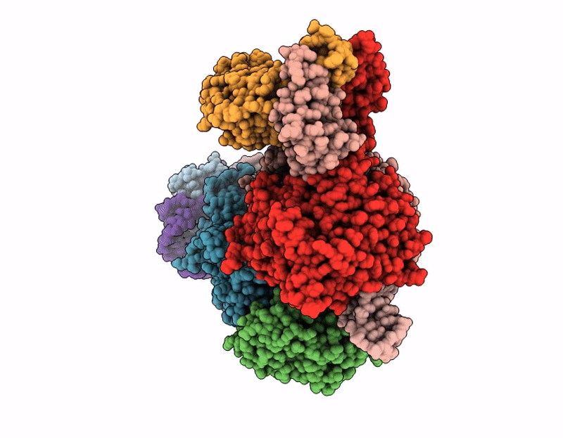 9VHL image