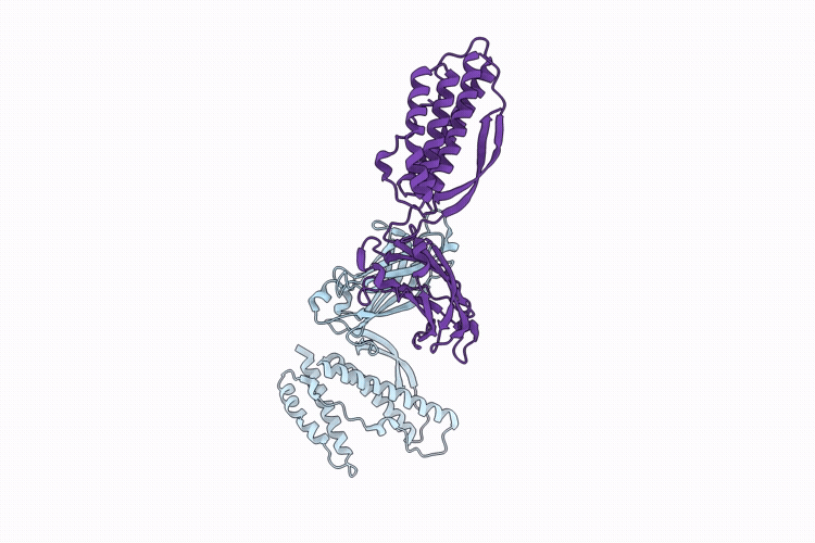 9VHM image