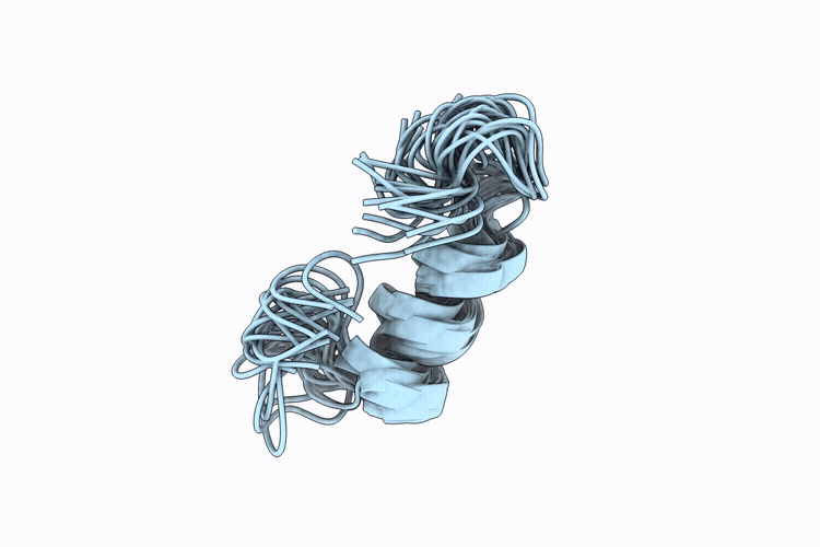 9VHO image
