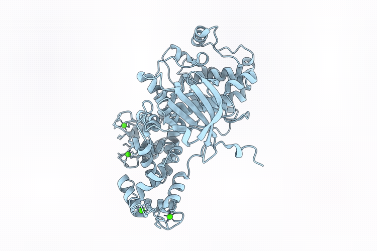 9VHW image