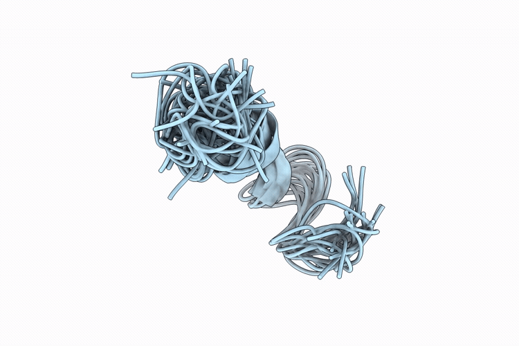 9VHX image