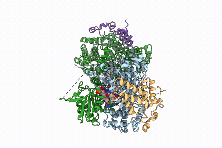 9VIG image
