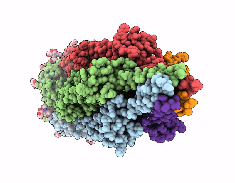 9VIQ image