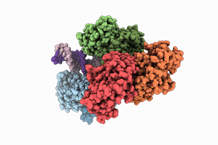 9VJB image