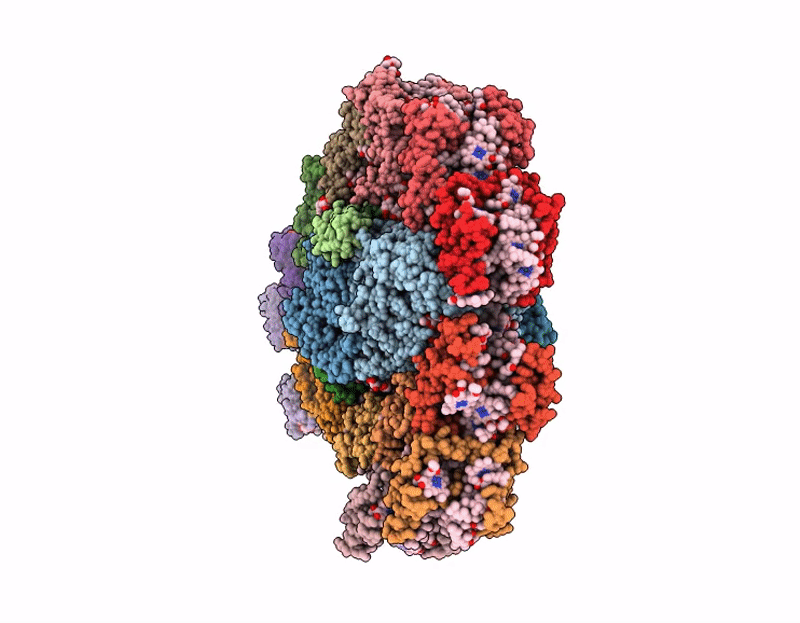 9VJS image