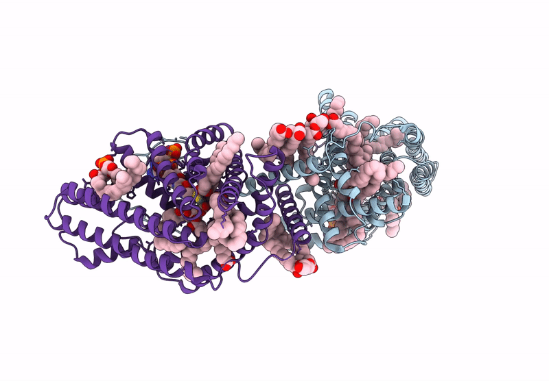 9VJX image