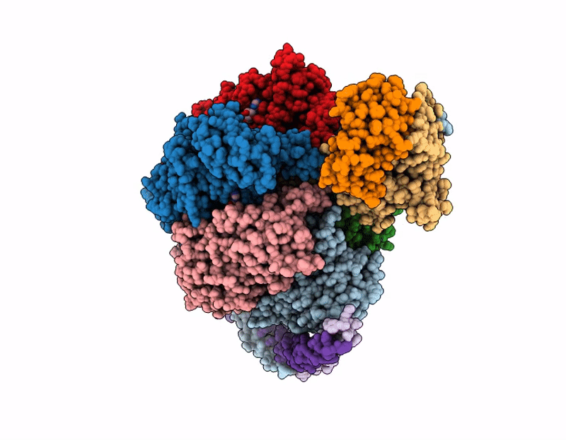 9VKP image
