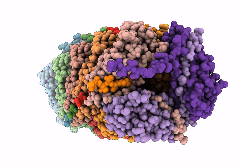 9VKV image