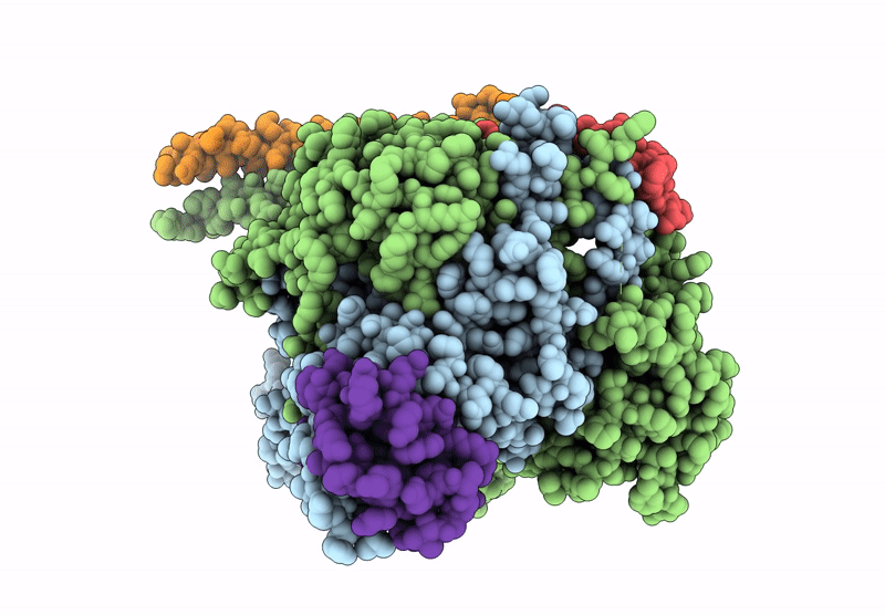 9VKW image