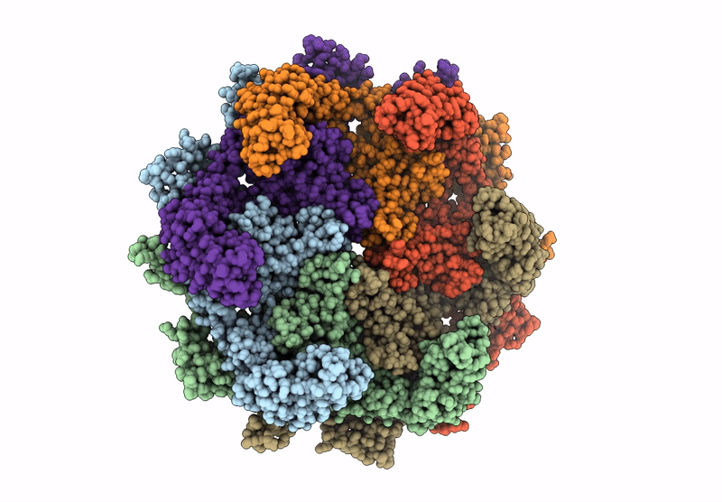 9VL4 image