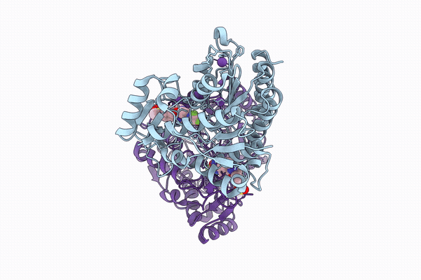 9VLP image