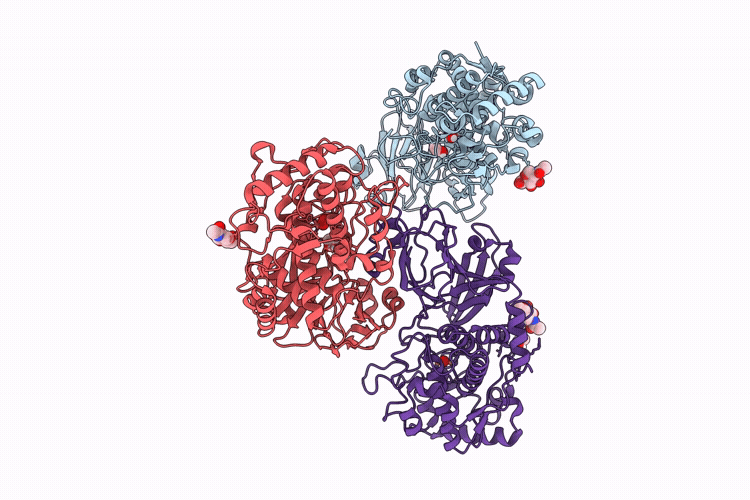 9VLU image