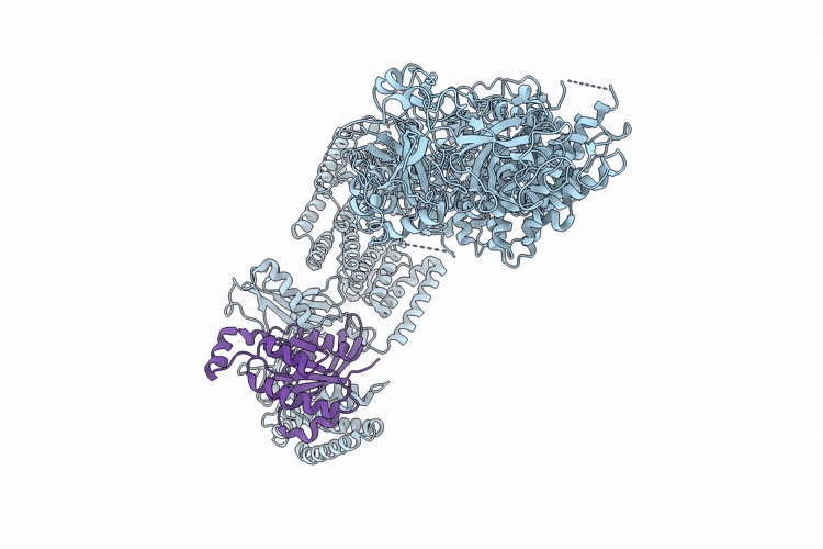 9VM4 image