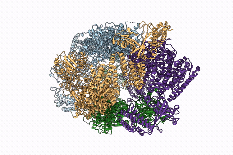 9VM6 image