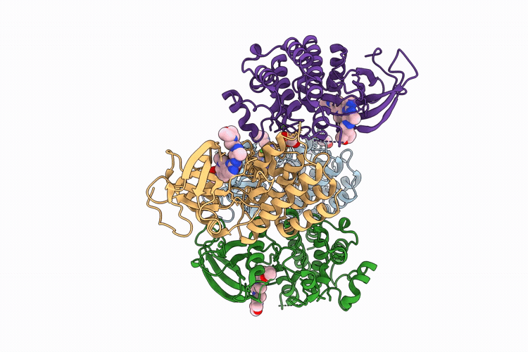 9VMB image