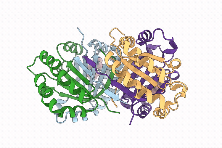 9VMC image