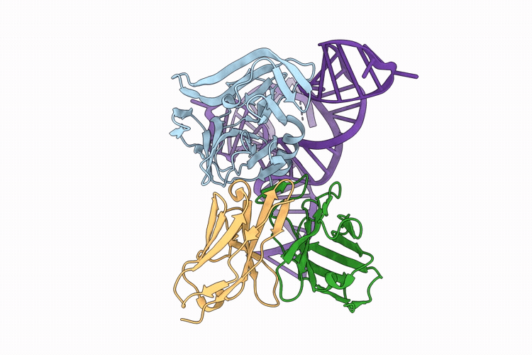 9VMD image