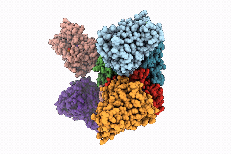 9VMT image