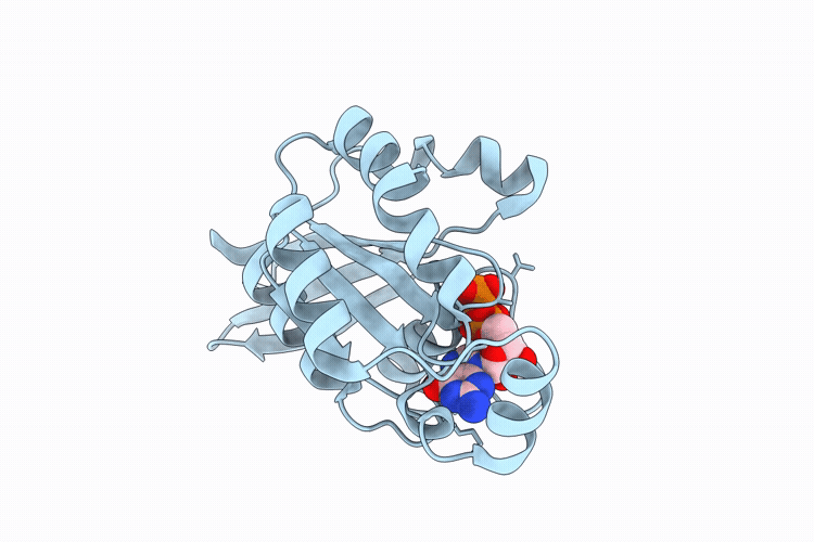 9VNH image