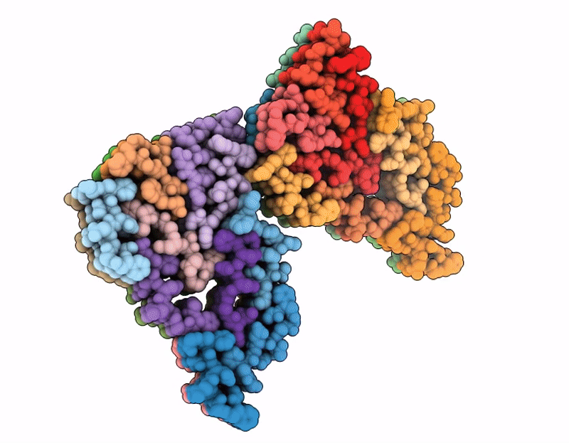 9VNM image
