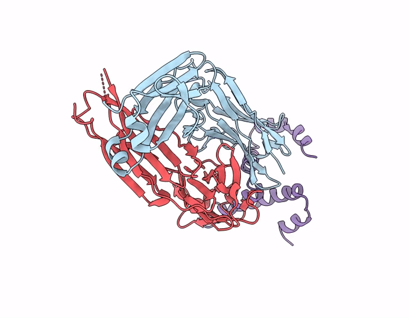 9VNP image