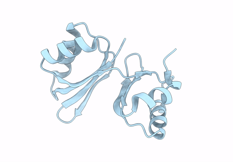 9VP8 image