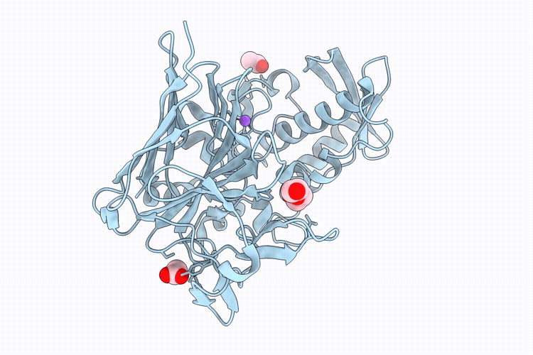 9VPA image