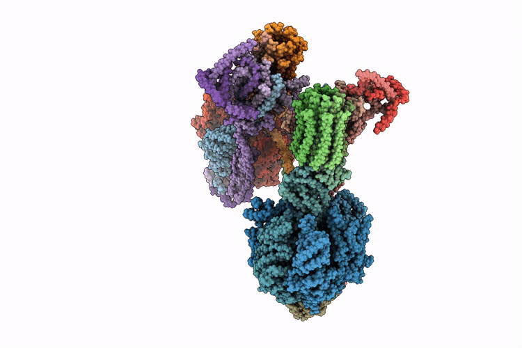 9VPB image