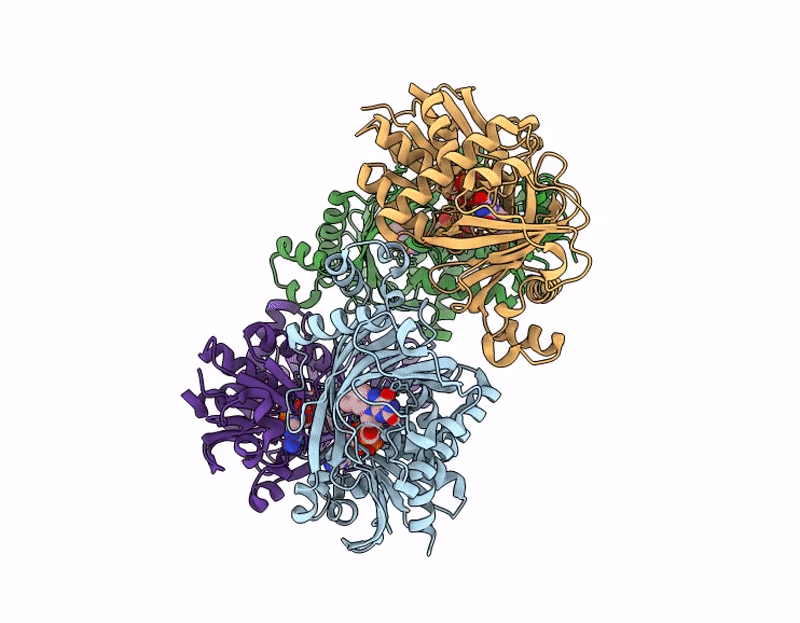 9VPF image