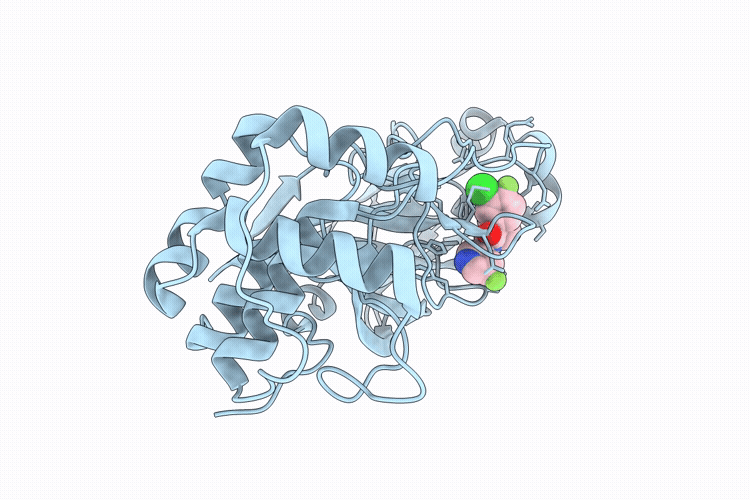 9VPH image
