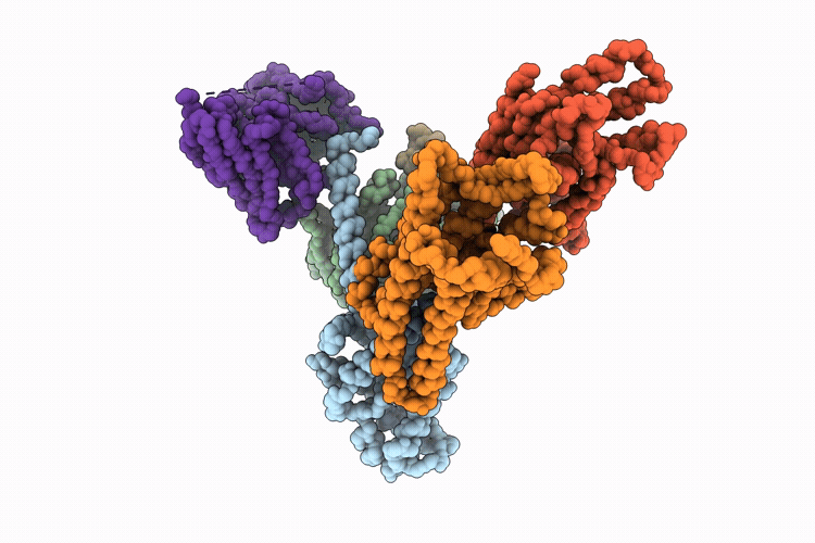 9VPM image