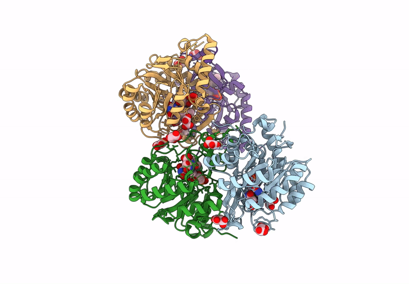9VPT image