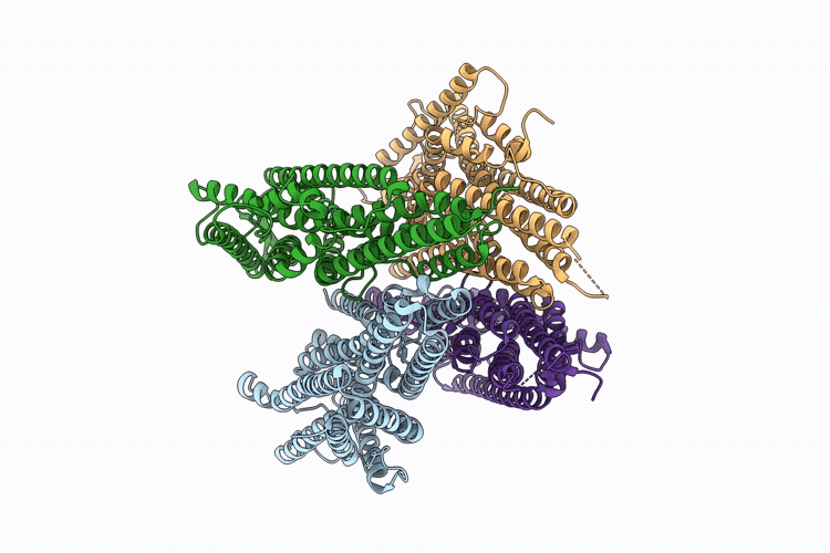 9VQS image