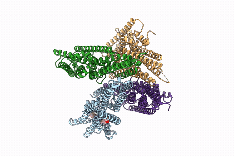 9VQU image