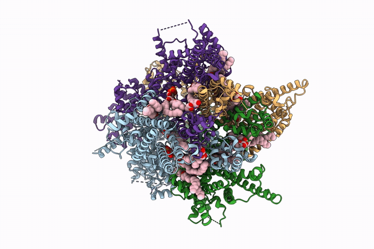 9VQX image