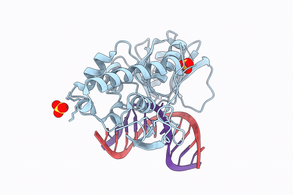 9VR4 image