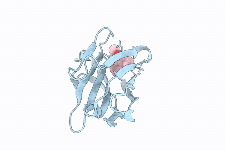 9VRF image