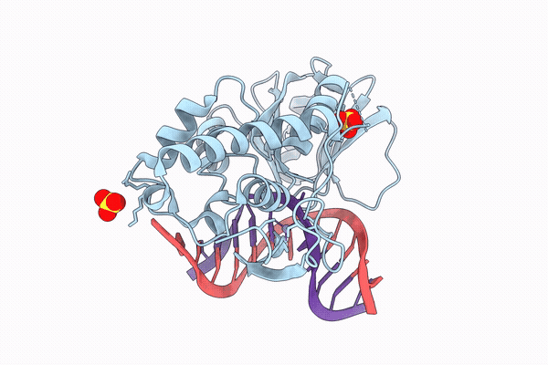 9VRM image