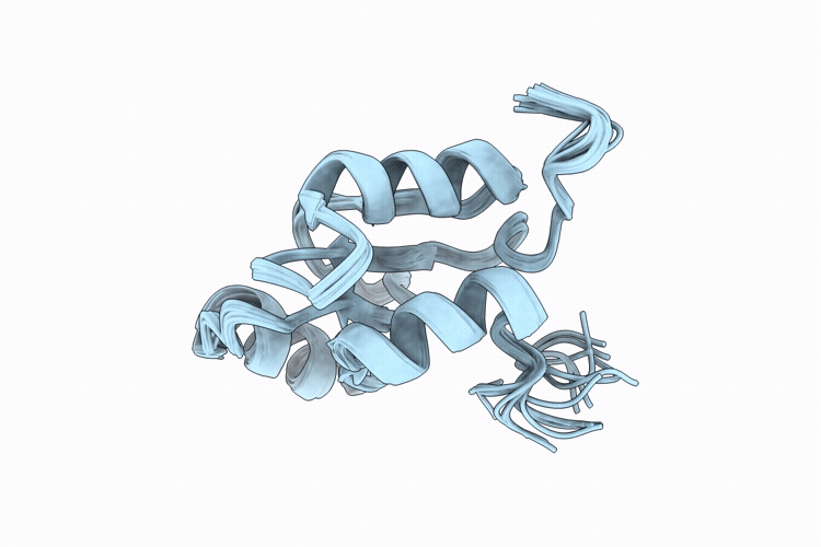 9VSE image