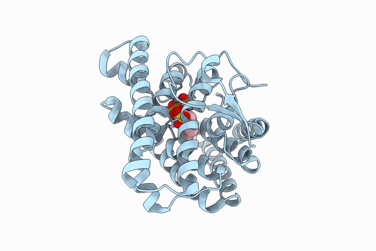 9VSG image