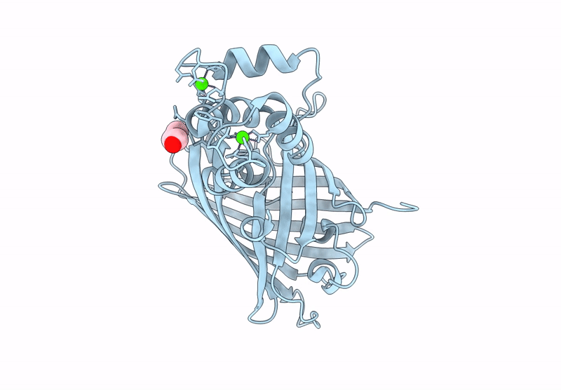 9VSJ image