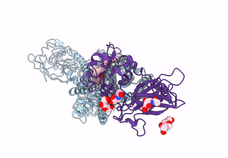 9VSL image