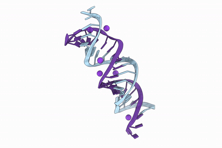 9VSN image