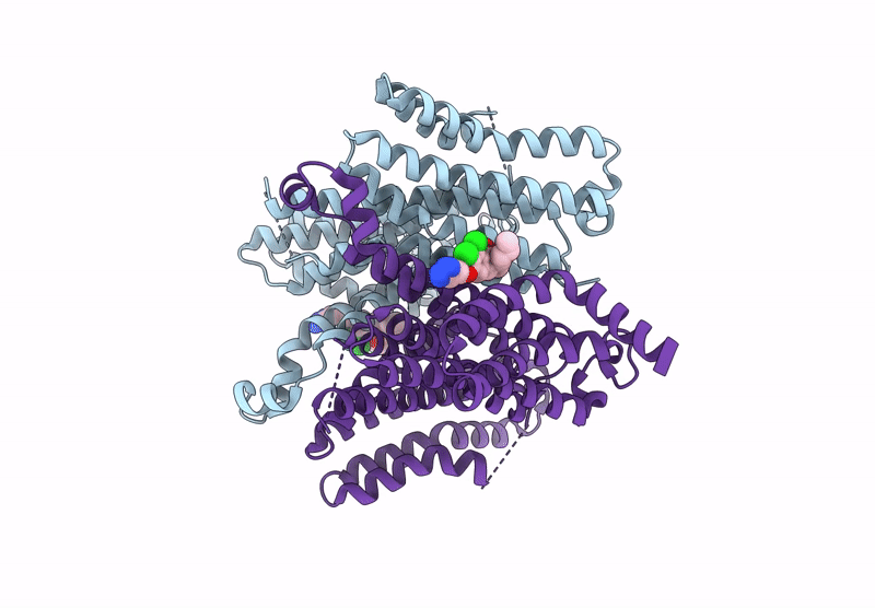 9VSP image