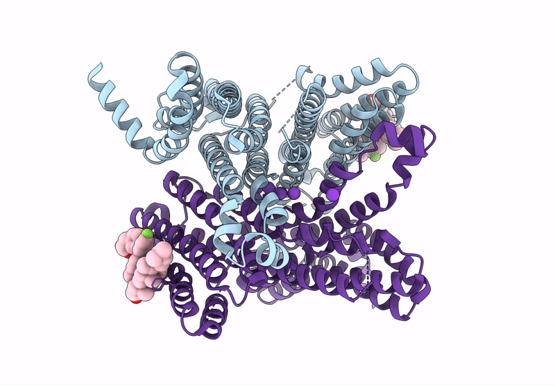 9VSQ image