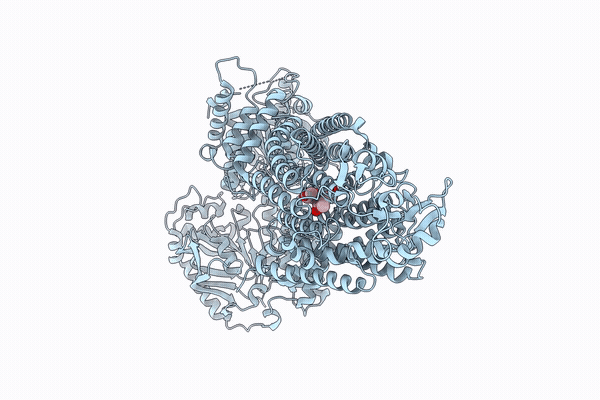 9VSV image