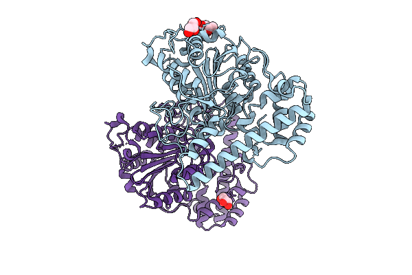 9VSX image